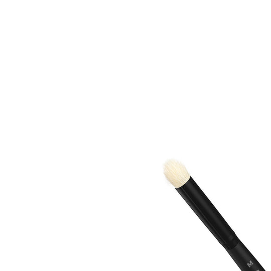 DRY BRUSHES SET
