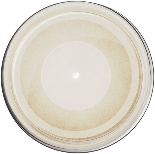 Ultracryl Metal Platinum