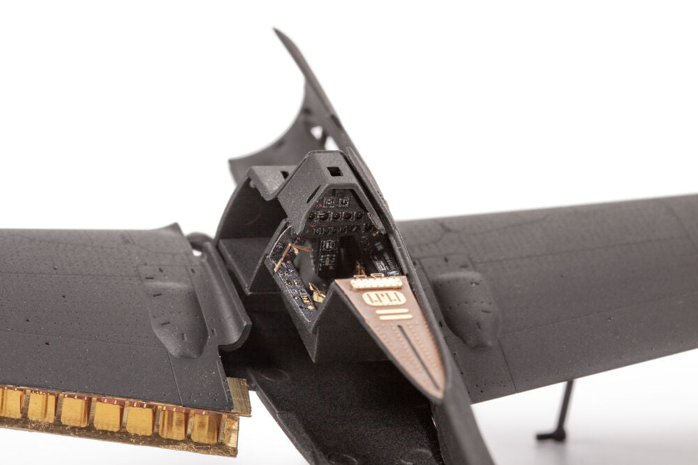 Fw 190D-9 for IBG