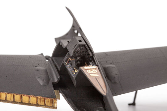 Fw 190D-9 for IBG