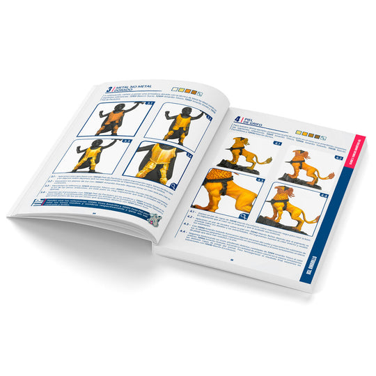 Color BSL System Spanish