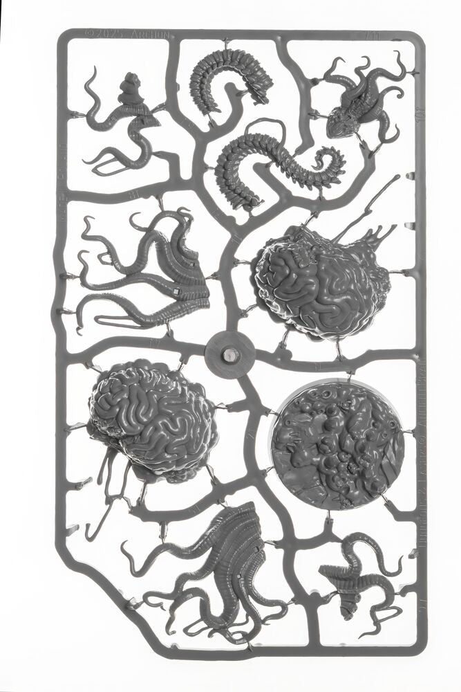 Ancient Brain