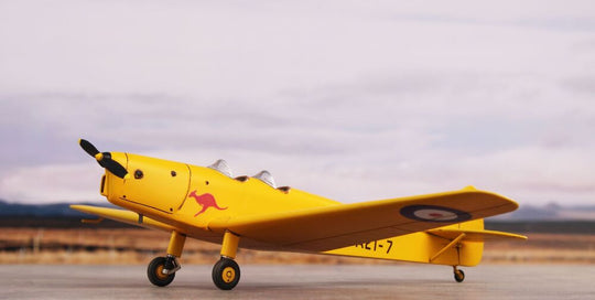 DH.94 Moth Minor 'Under the Southern Cross'
