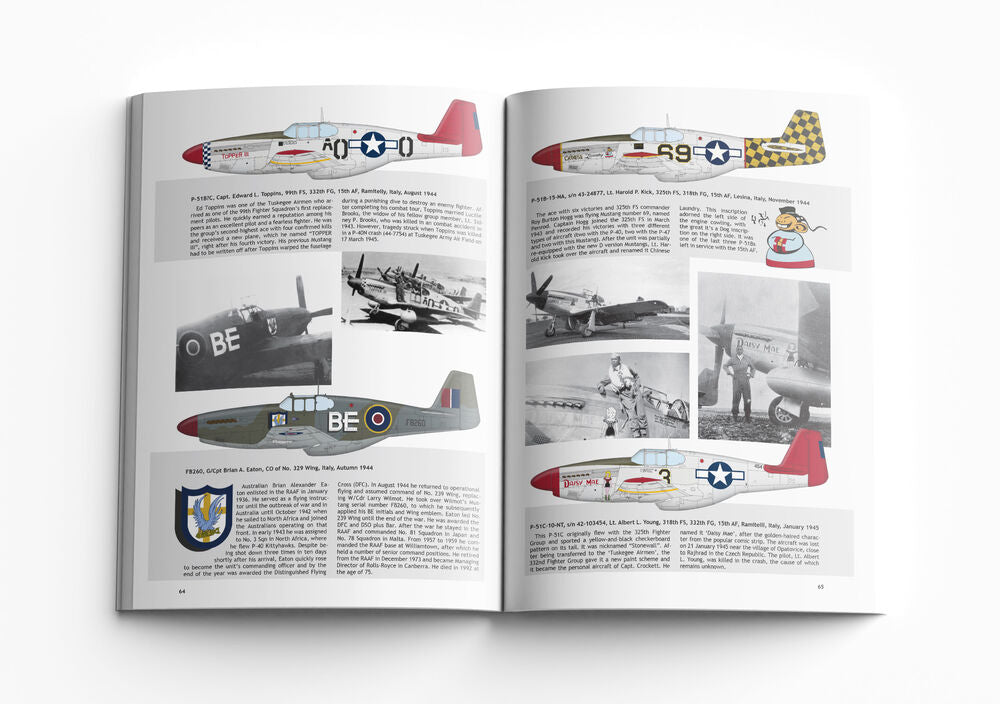 P-51B Mustang