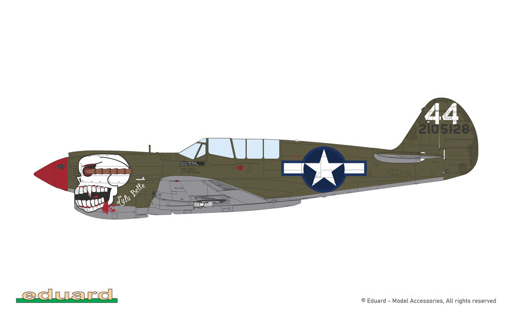 P-40N Warhawk