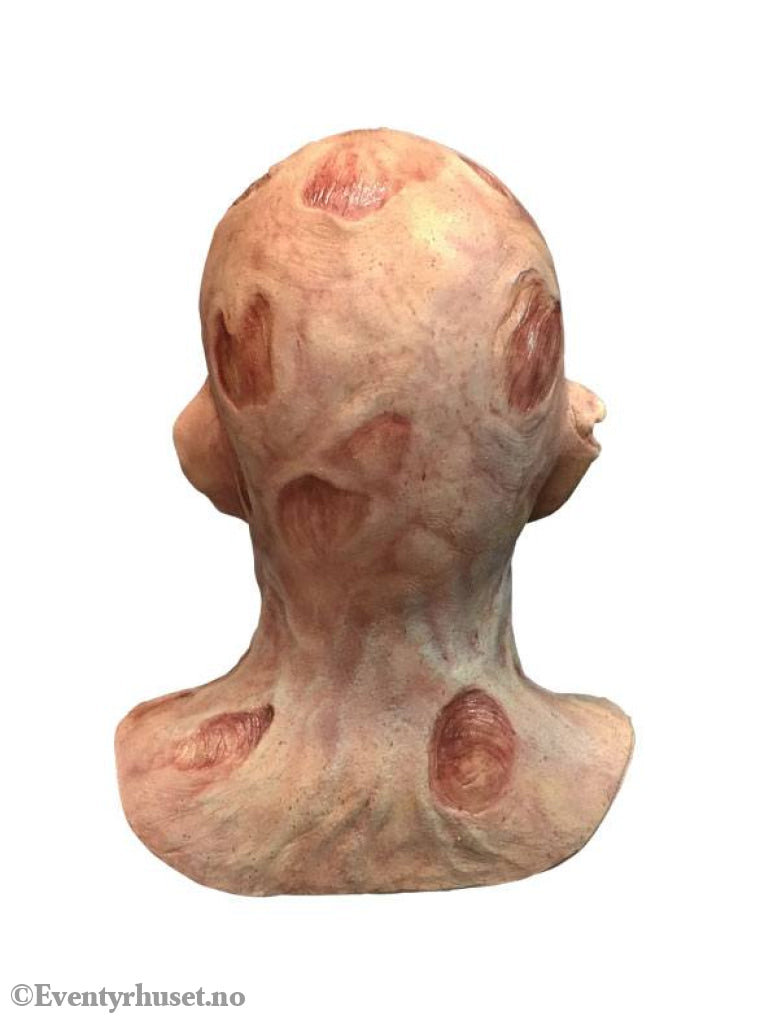 A Nightmare on Elm Street 2: Freddy’s Revenge Deluxe Latex Mask Freddy Krueger Fashion & Accessories