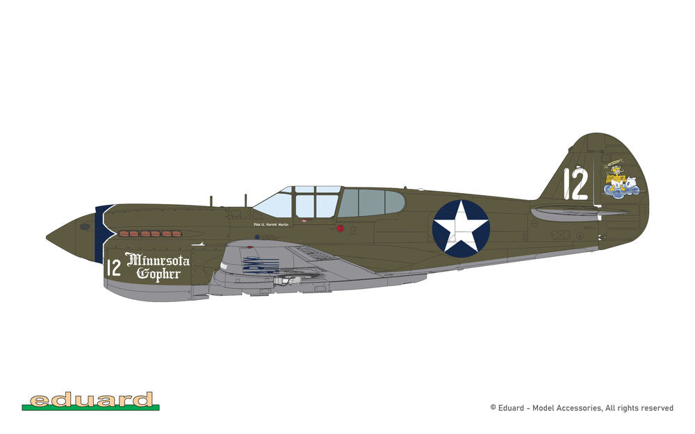 P-40E Warhawk