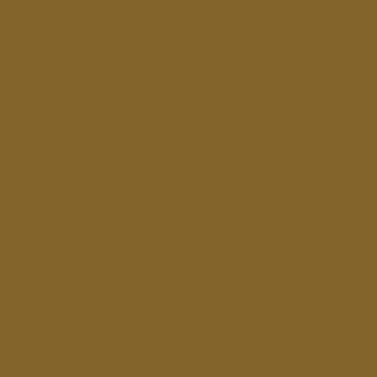 Game Air: Leather Brown 18 ml