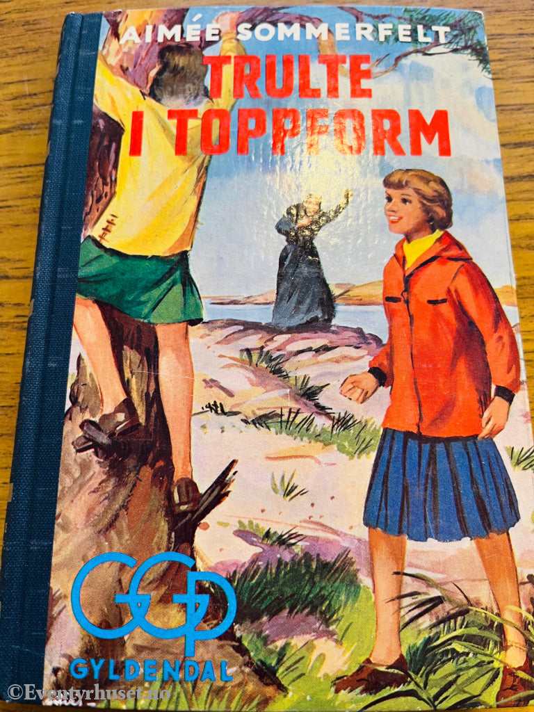 Aimée Sommerfelt. Trulte i Toppform. Bok.