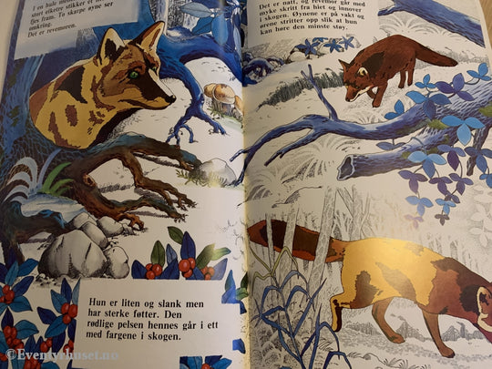 Alberto Manzi / Lugi Roveri Nino Orlich. Naturens Eventyrverden: Reven Lurenhei. Eventyrbok