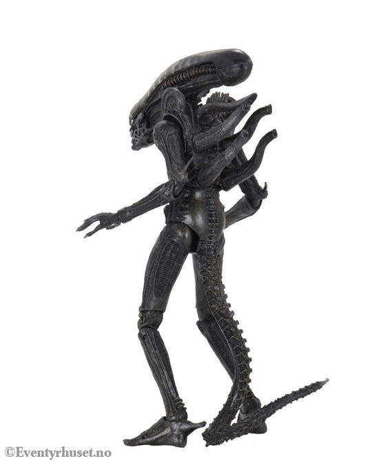 Alien 1979 Action Figure Ultimate 40th Anniversary Big Chap 23 cm Toys