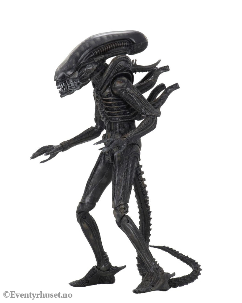 Alien 1979 Action Figure Ultimate 40th Anniversary Big Chap 23 cm Toys