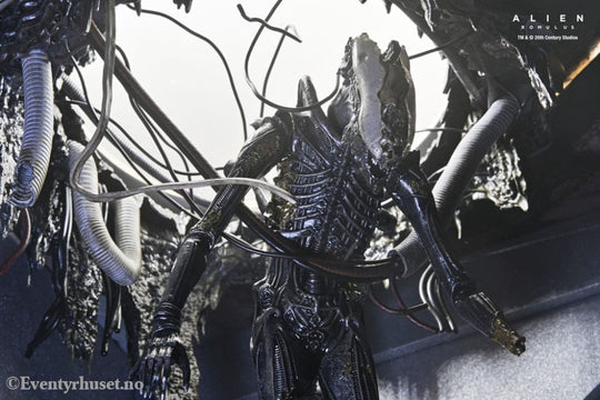 Alien: Romulus Action Figure Deluxe Suspended Lab Xenomorph XX121 18 cm Toys