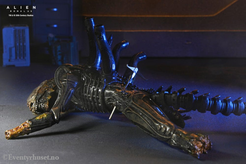 Alien: Romulus Action Figure Deluxe Suspended Lab Xenomorph XX121 18 cm Toys
