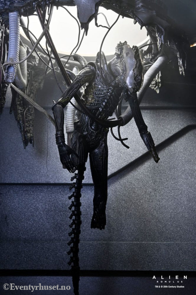 Alien: Romulus Action Figure Deluxe Suspended Lab Xenomorph XX121 18 cm Toys