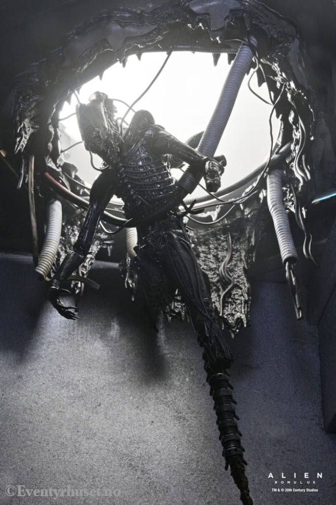 Alien: Romulus Action Figure Deluxe Suspended Lab Xenomorph XX121 18 cm Toys