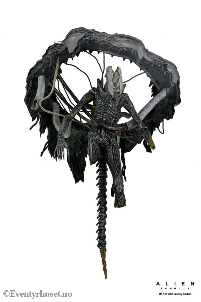 Alien: Romulus Action Figure Deluxe Suspended Lab Xenomorph XX121 18 cm Toys