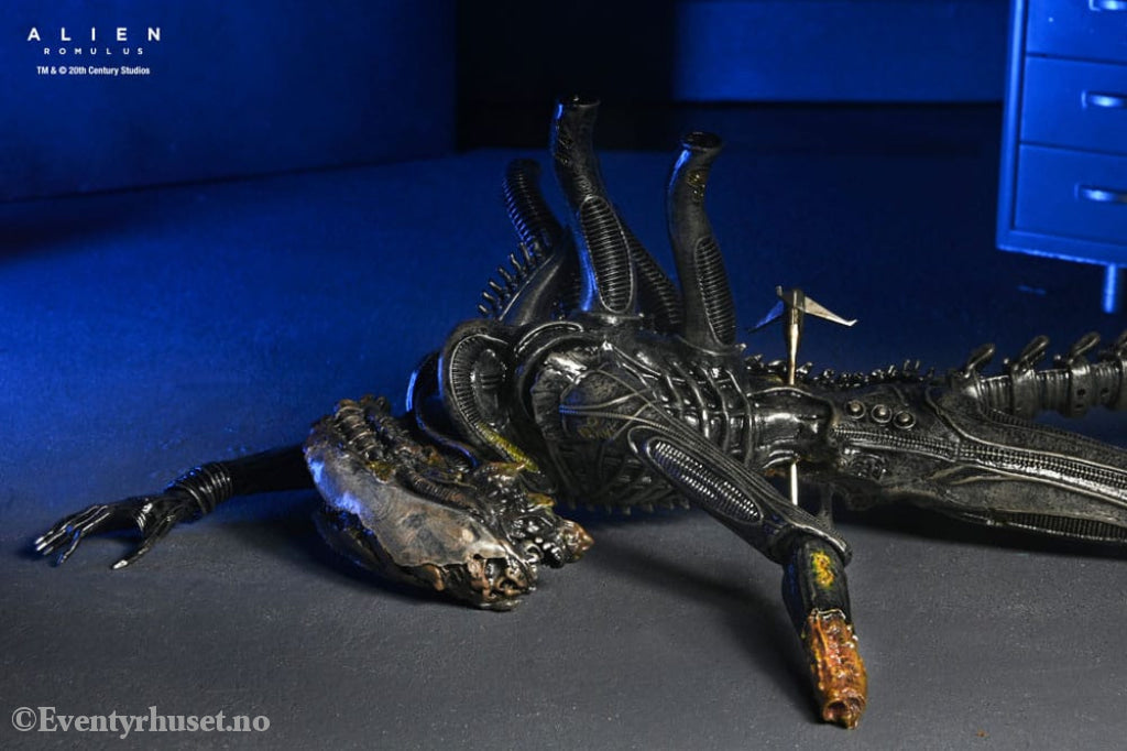 Alien: Romulus Action Figure Deluxe Suspended Lab Xenomorph XX121 18 cm Toys