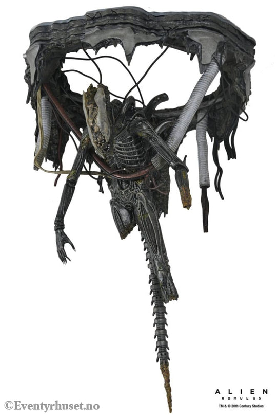 Alien: Romulus Action Figure Deluxe Suspended Lab Xenomorph XX121 18 cm Toys