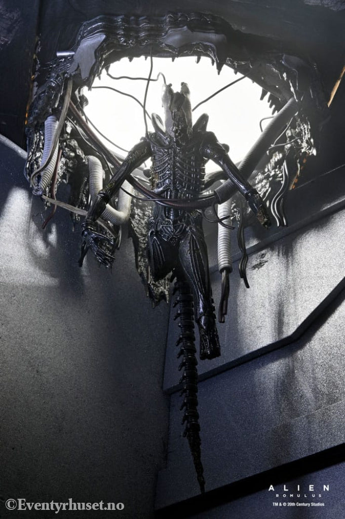 Alien: Romulus Action Figure Deluxe Suspended Lab Xenomorph XX121 18 cm Toys