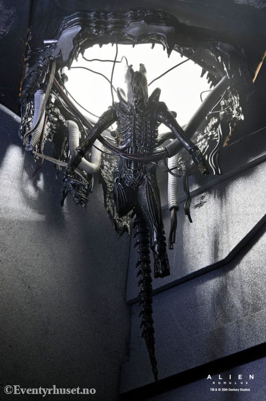 Alien: Romulus Action Figure Deluxe Suspended Lab Xenomorph XX121 18 cm Toys