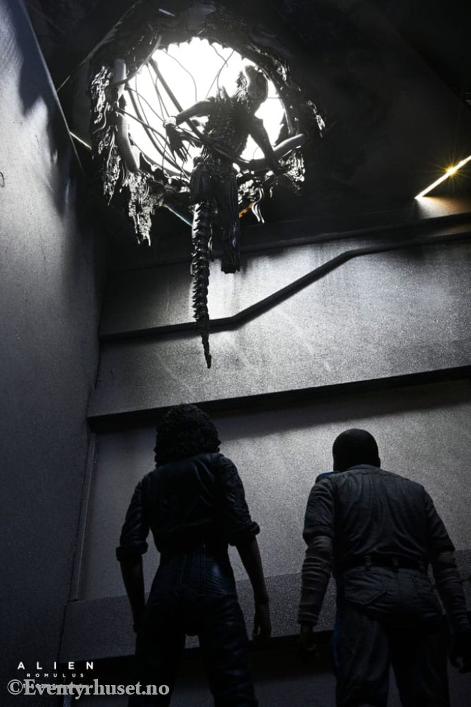 Alien: Romulus Action Figure Deluxe Suspended Lab Xenomorph XX121 18 cm Toys