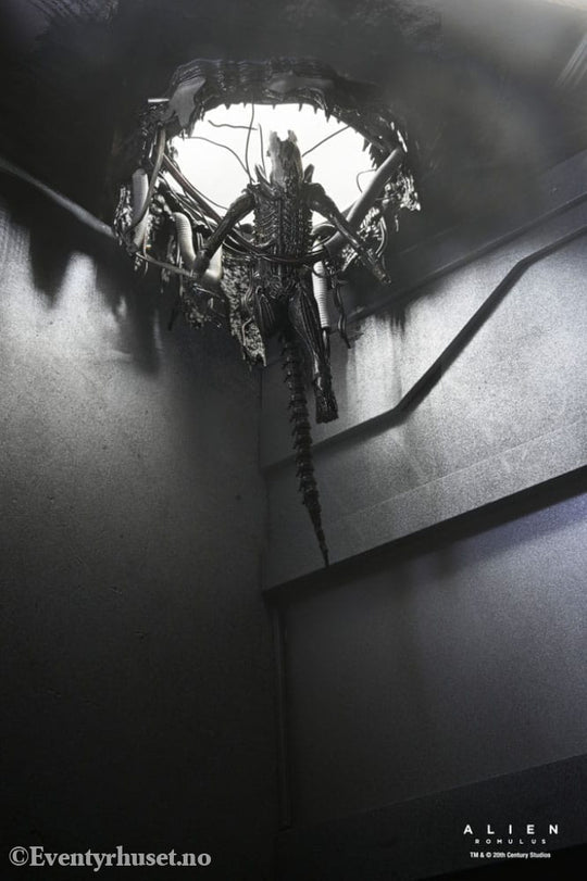 Alien: Romulus Action Figure Deluxe Suspended Lab Xenomorph XX121 18 cm Toys