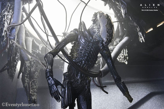 Alien: Romulus Action Figure Deluxe Suspended Lab Xenomorph XX121 18 cm Toys