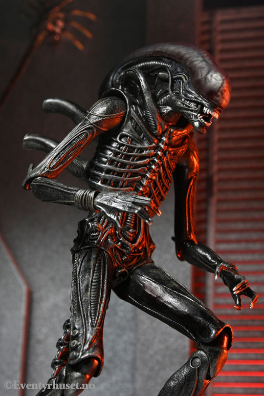 Alien: Romulus Action Figure Ultimate Xenomorph XX121 18 cm. Mint In Sealed Box (MISB)! Actionfigur