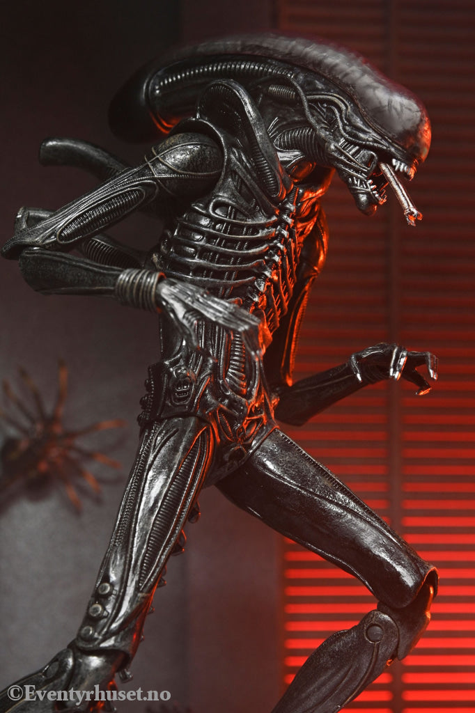 Alien: Romulus Action Figure Ultimate Xenomorph XX121 18 cm. Mint In Sealed Box (MISB)! Actionfigur