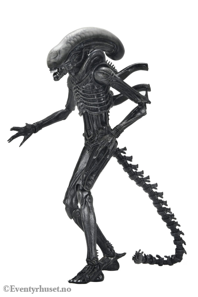Alien: Romulus Action Figure Ultimate Xenomorph XX121 18 cm. Mint In Sealed Box (MISB)! Actionfigur