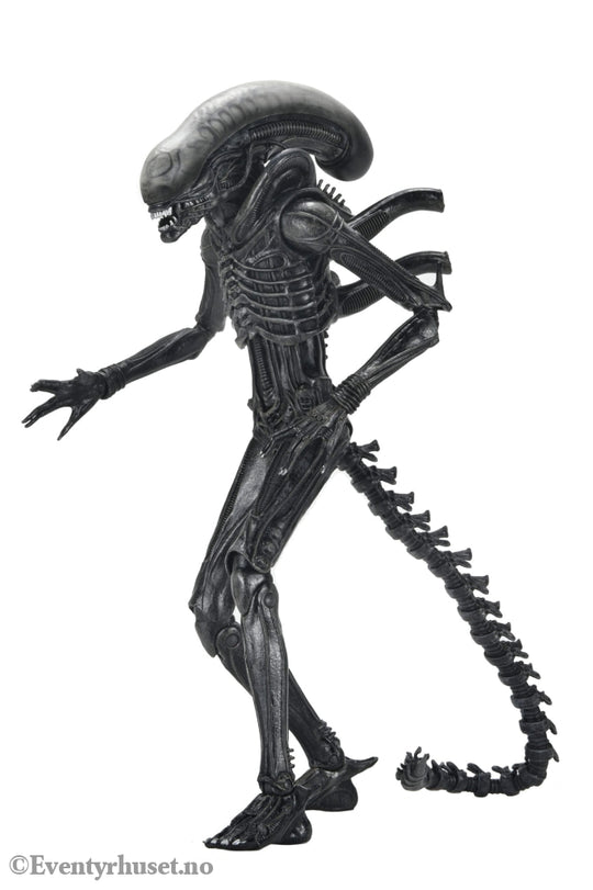Alien: Romulus Action Figure Ultimate Xenomorph XX121 18 cm. Mint In Sealed Box (MISB)! Actionfigur