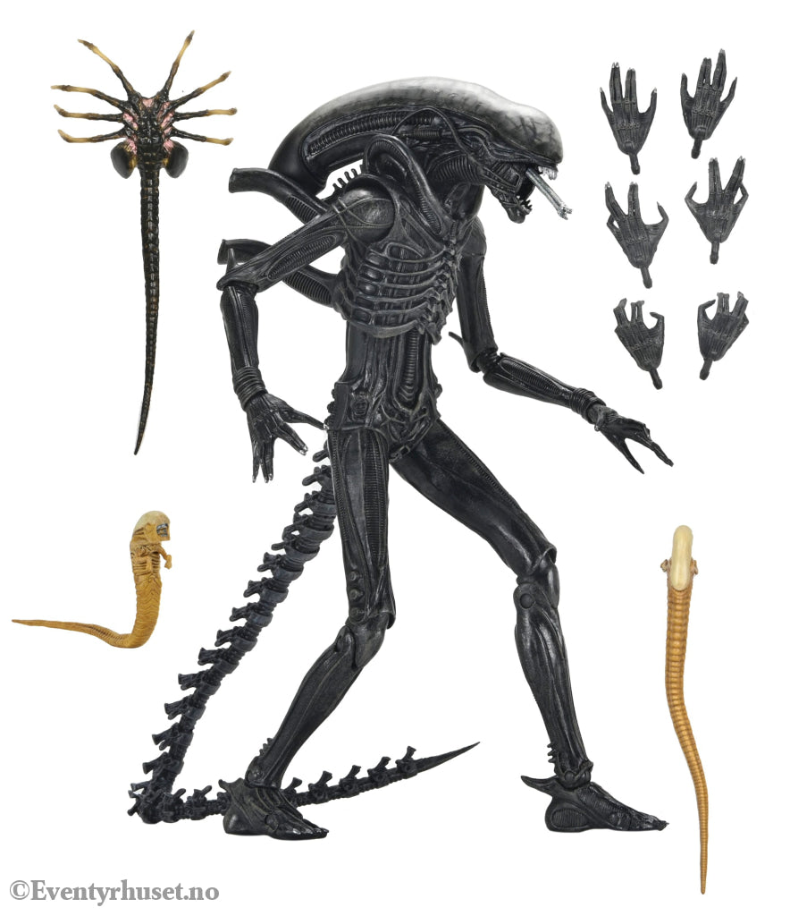 Alien: Romulus Action Figure Ultimate Xenomorph XX121 18 cm. Mint In Sealed Box (MISB)! Actionfigur