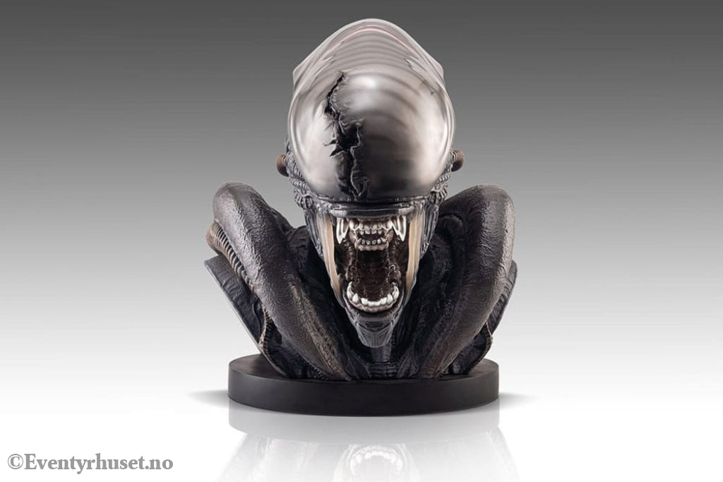 Alien Romulus Bust 1/1 Xenomorph 53 cm Collectibles