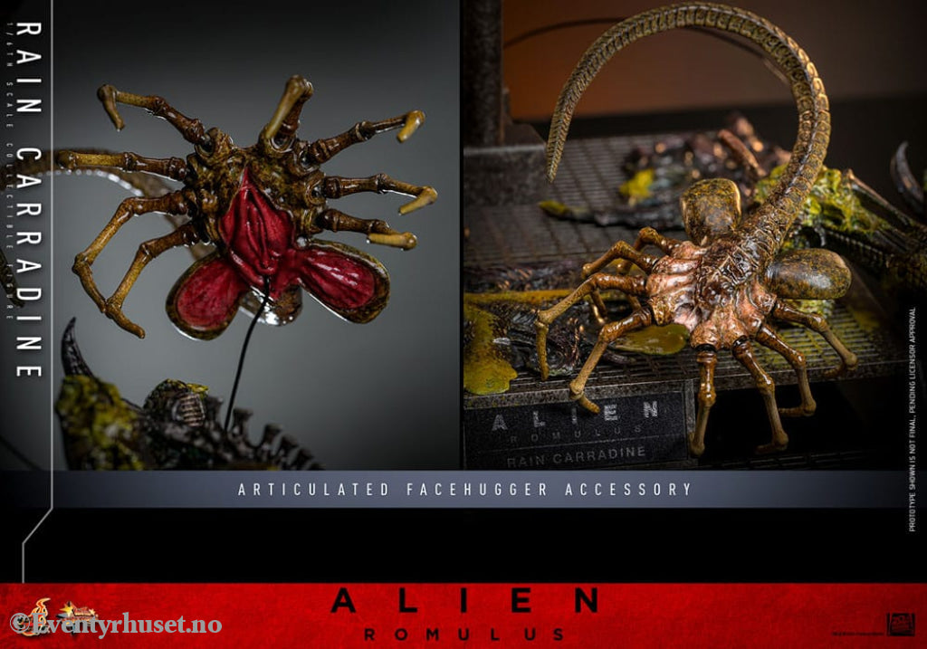 Alien: Romulus Movie Masterpiece Action Figure 1/6 Rain Carradine 26 cm Toys