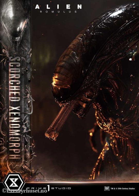 Alien: Romulus Museum Masterline XL Statue 1/3 Scorched Xenomorph 98 cm Collectibles