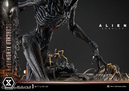 Alien: Romulus Museum Masterline XL Statue 1/3 Scorched Xenomorph 98 cm Collectibles