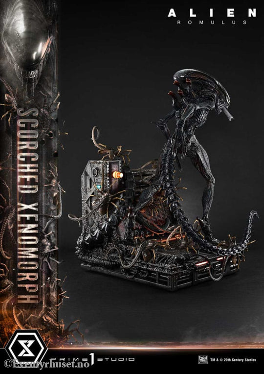 Alien: Romulus Museum Masterline XL Statue 1/3 Scorched Xenomorph Deluxe Bonus Version 98 cm Collectibles