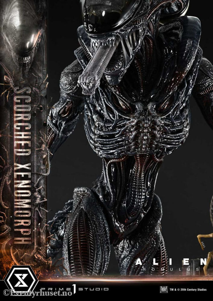 Alien: Romulus Museum Masterline XL Statue 1/3 Scorched Xenomorph Deluxe Bonus Version 98 cm Collectibles