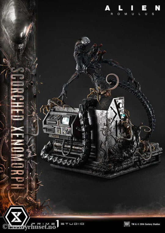 Alien: Romulus Museum Masterline XL Statue 1/3 Scorched Xenomorph Deluxe Bonus Version 98 cm Collectibles