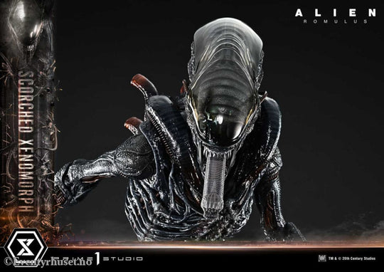 Alien: Romulus Museum Masterline XL Statue 1/3 Scorched Xenomorph Deluxe Bonus Version 98 cm Collectibles