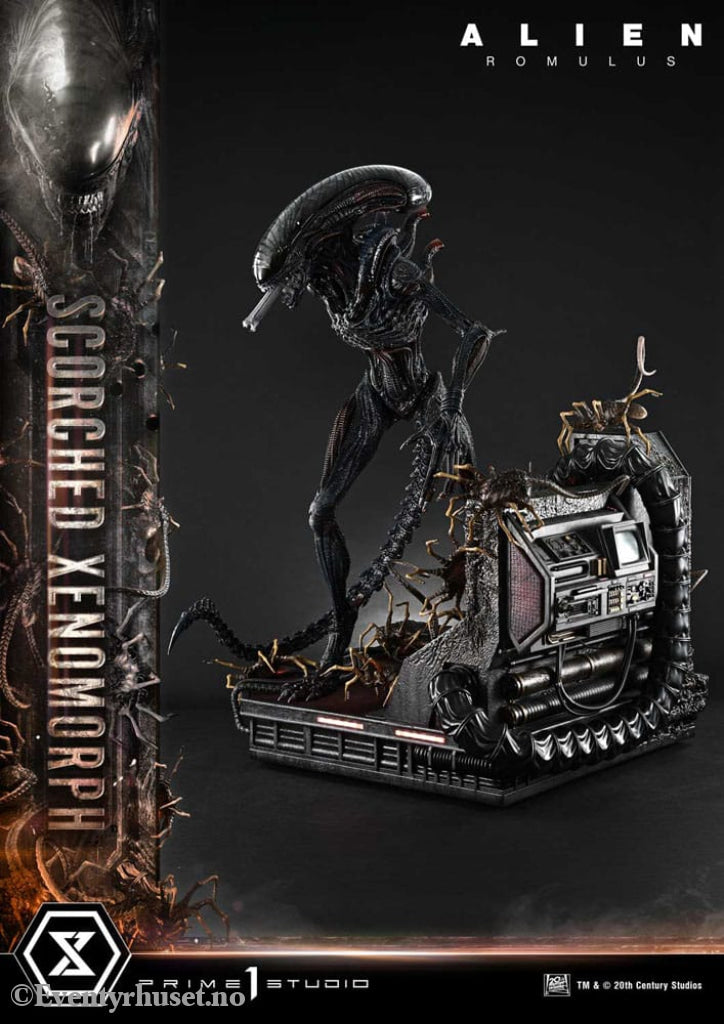 Alien: Romulus Museum Masterline XL Statue 1/3 Scorched Xenomorph Deluxe Version 98 cm Collectibles