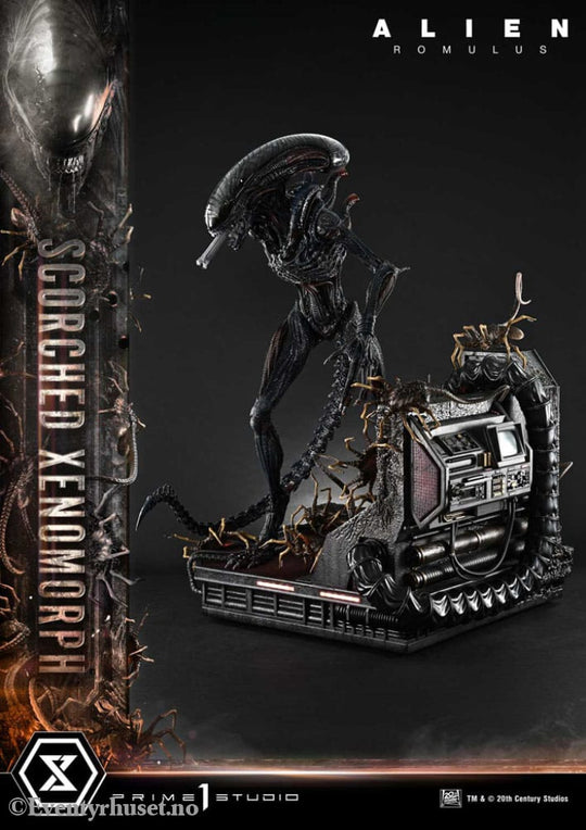 Alien: Romulus Museum Masterline XL Statue 1/3 Scorched Xenomorph Deluxe Version 98 cm Collectibles