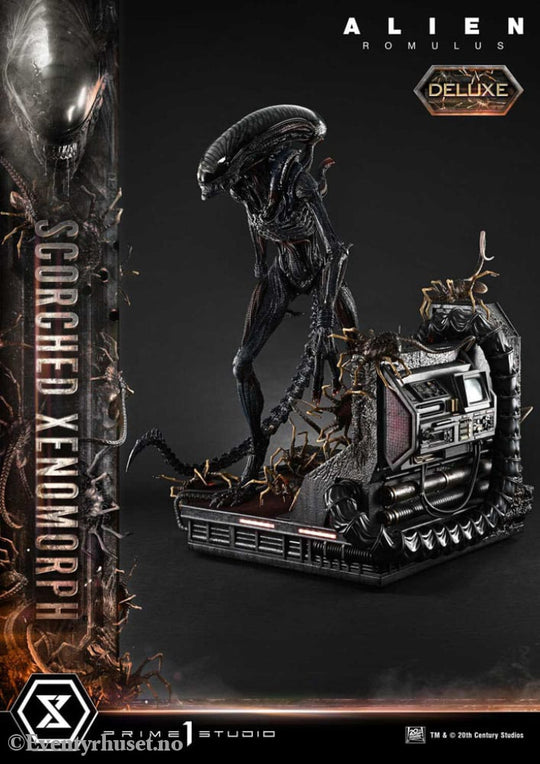 Alien: Romulus Museum Masterline XL Statue 1/3 Scorched Xenomorph Deluxe Version 98 cm Collectibles