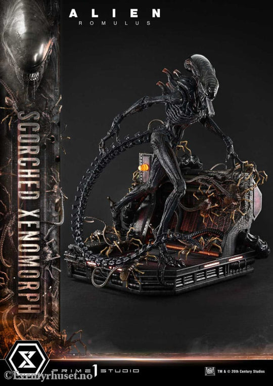 Alien: Romulus Museum Masterline XL Statue 1/3 Scorched Xenomorph Deluxe Version 98 cm Collectibles