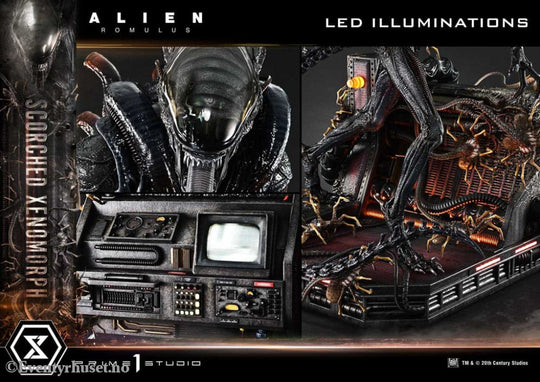 Alien: Romulus Museum Masterline XL Statue 1/3 Scorched Xenomorph Deluxe Version 98 cm Collectibles