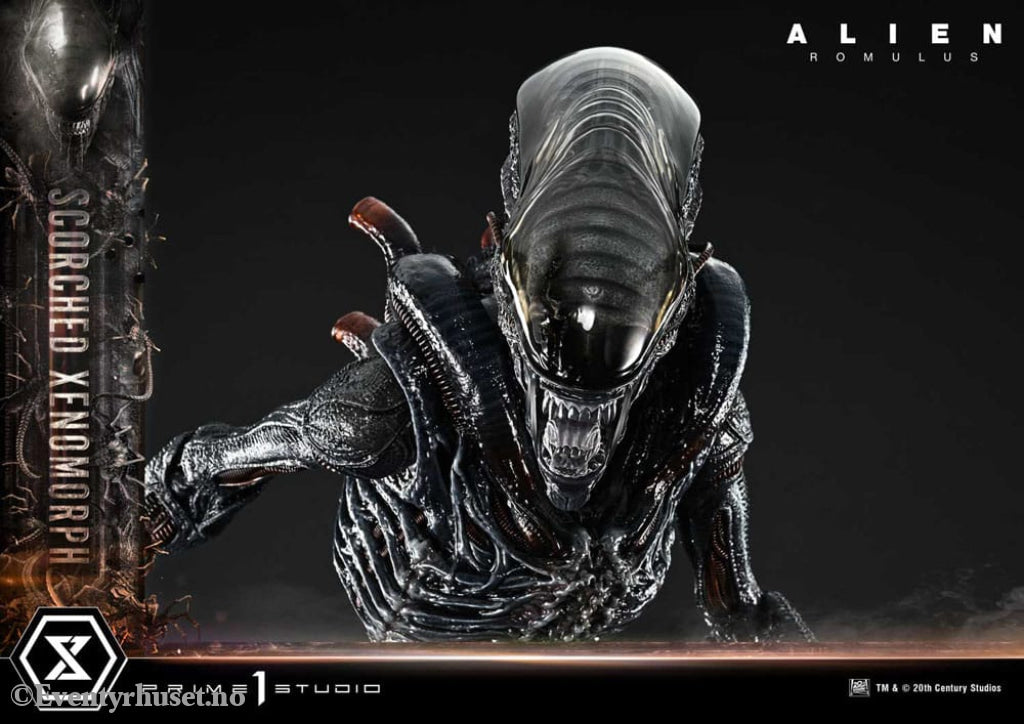 Alien: Romulus Museum Masterline XL Statue 1/3 Scorched Xenomorph Deluxe Version 98 cm Collectibles