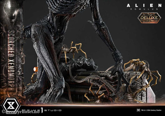 Alien: Romulus Museum Masterline XL Statue 1/3 Scorched Xenomorph Deluxe Version 98 cm Collectibles