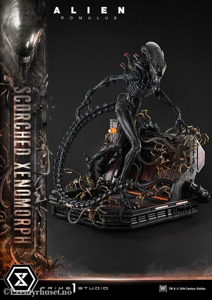 Alien: Romulus Museum Masterline XL Statue 1/3 Scorched Xenomorph Deluxe Version 98 cm Collectibles