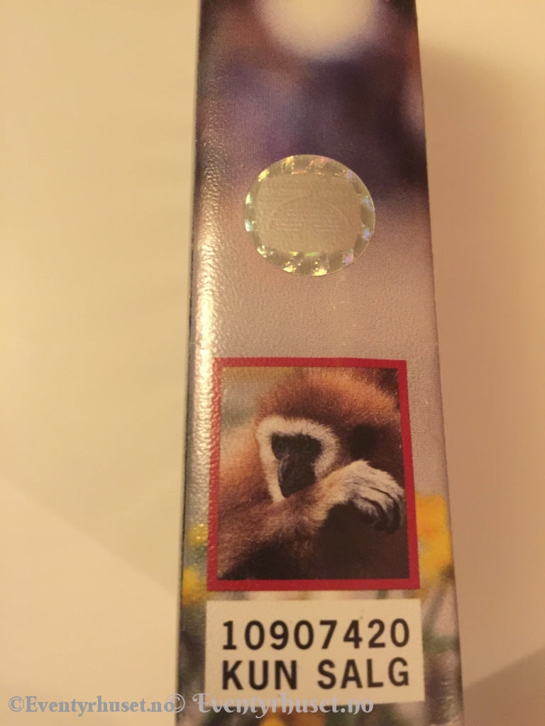 Amadeus. Kjent Fra Nrk Barne-Tv. Fortalt Av Tore Strømøy. 1997. Vhs. Vhs